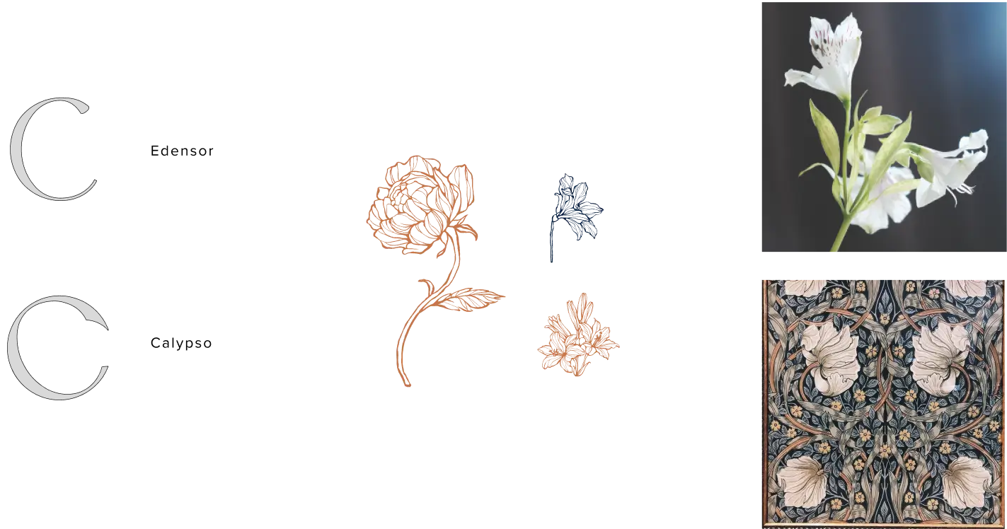 Chloe Health & Aesthetic Services for the United States - Product Output